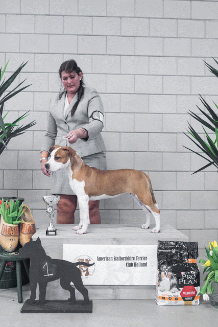 36A6232 38698669642 O