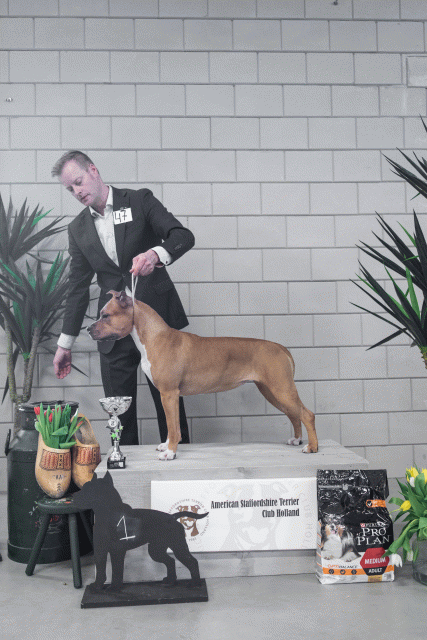 36A6239 38698667052 O