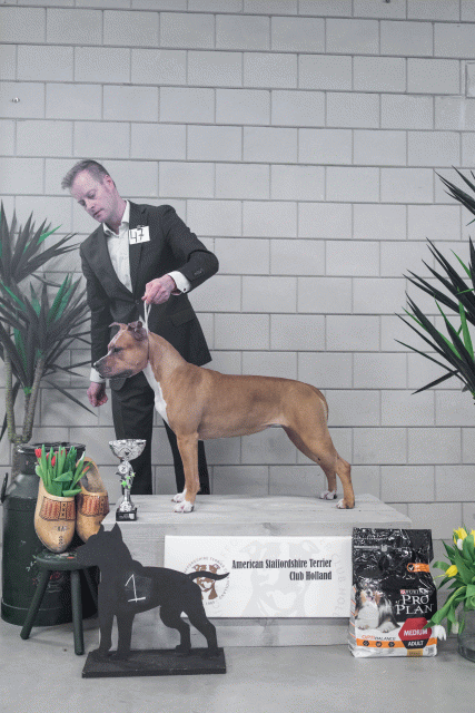 36A6240 26954872099 O