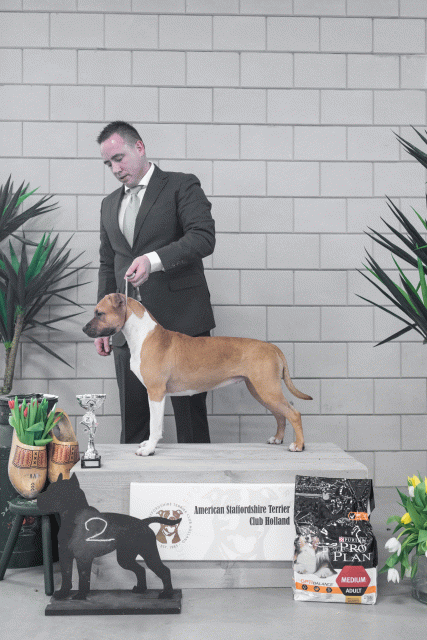 36A6242 38698665892 O