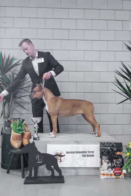 36A6238 26954872579 O