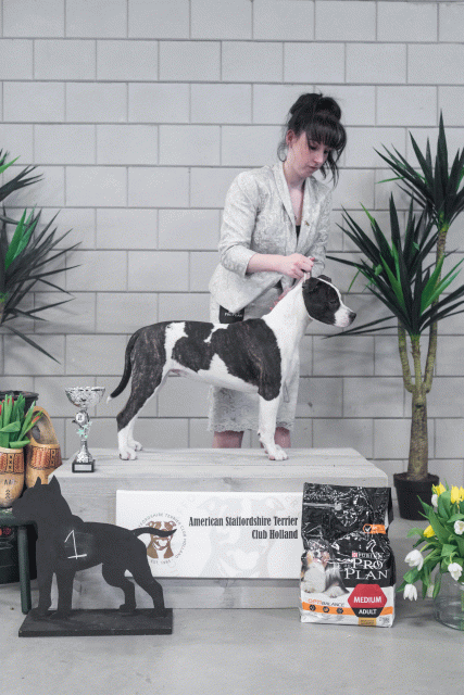 36A6246 38698664232 O