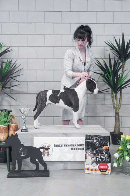 36A6248 38698662952 O