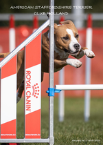 Clubblad 2023 - editie 2