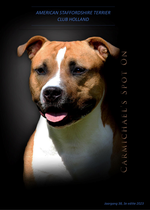 Clubblad 2023 - editie 3