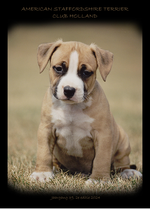 Clubblad 2024 - editie 2