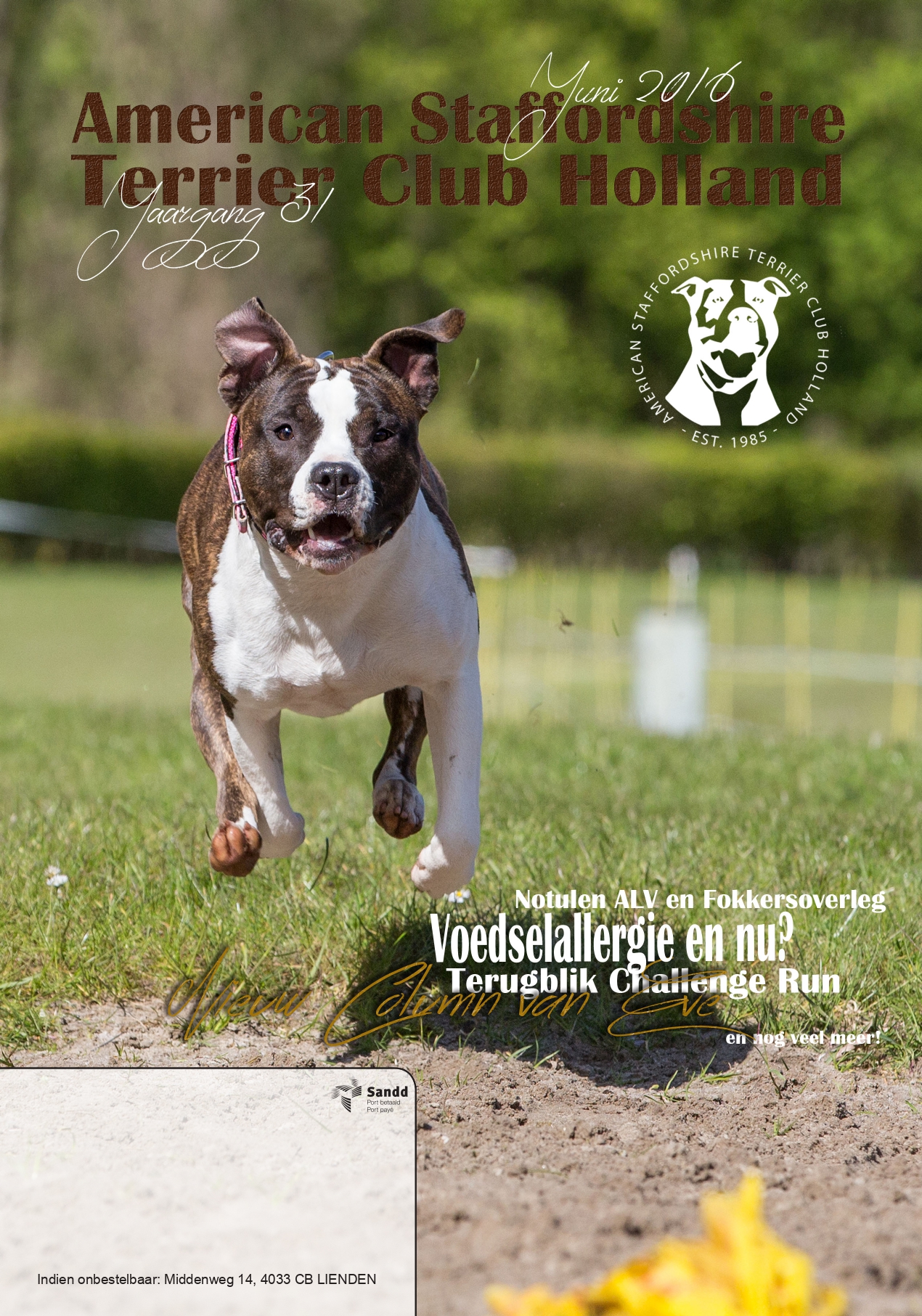 Club Magazines online