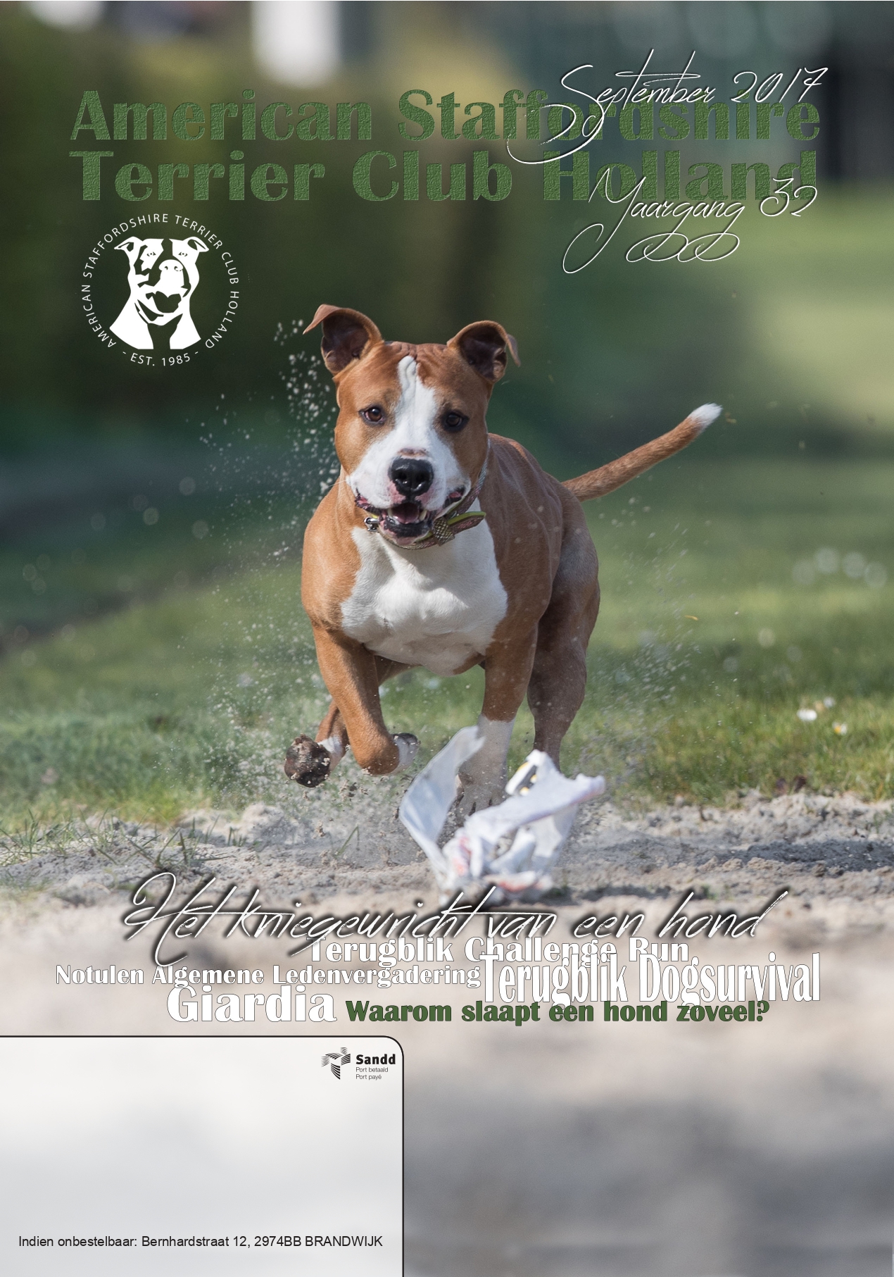 Club Magazines online