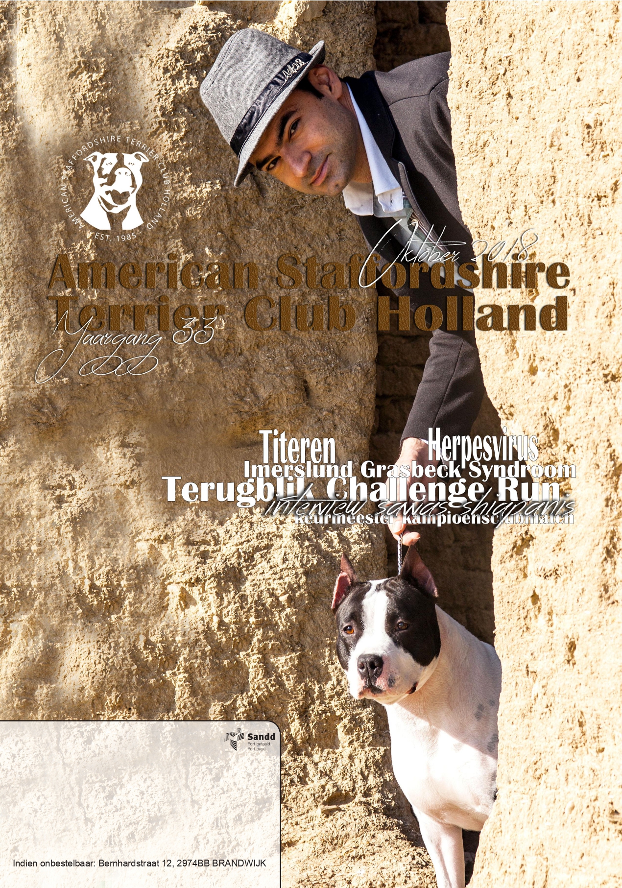 Club Magazines online