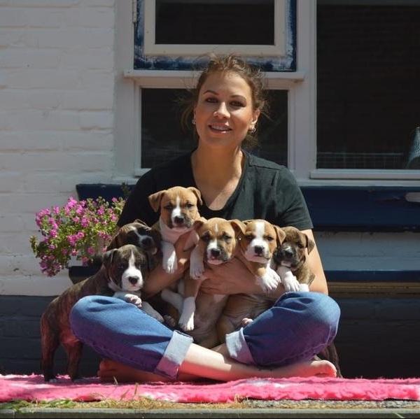 Ayahs American Legends