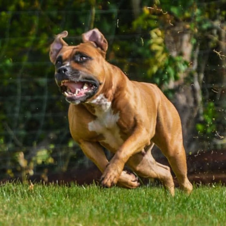 Ruby