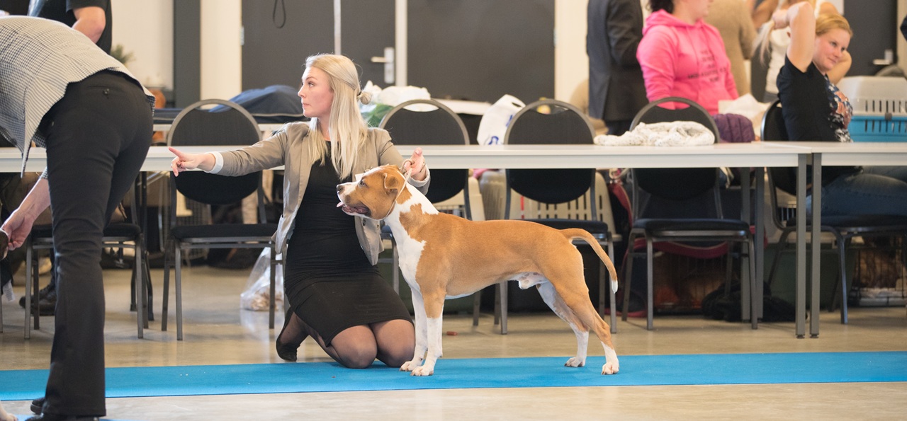 ASTCH Specialty Show 2026 – Tiel