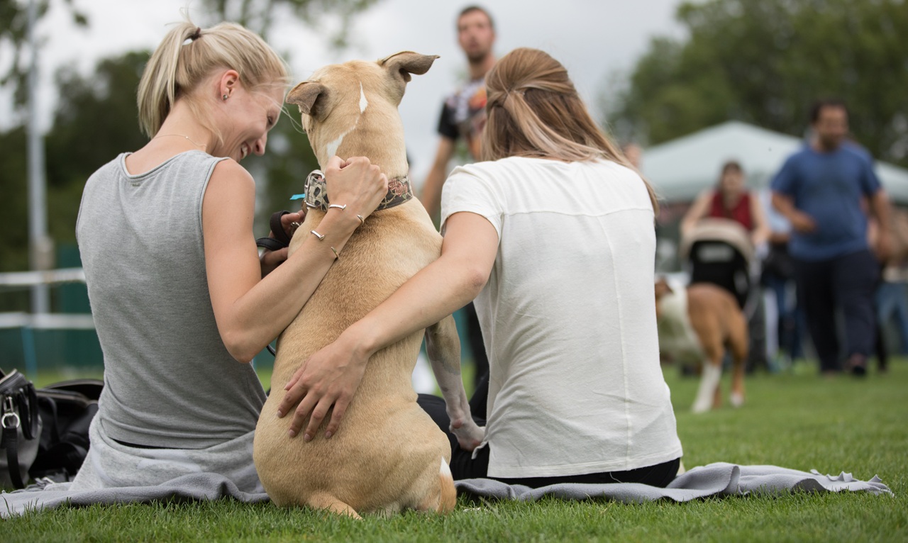 Vrijwilligers melden zich voor commissies