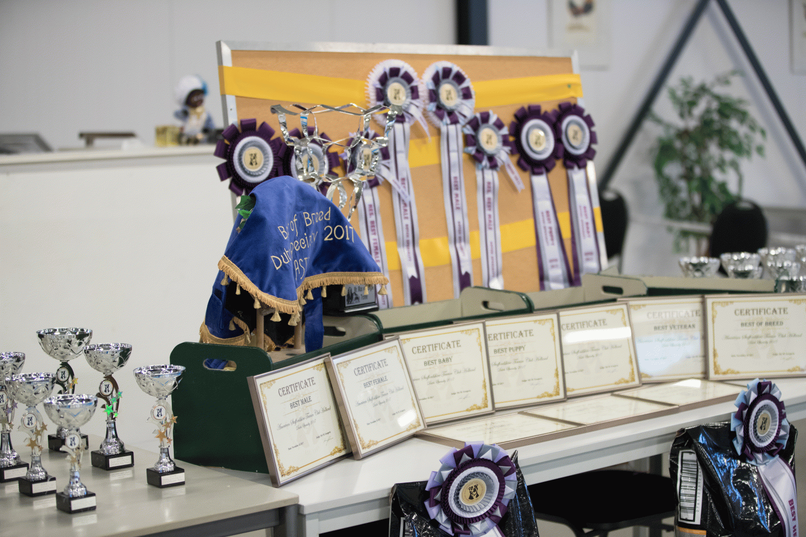 KCM 2026 Rosetten Sponsoring