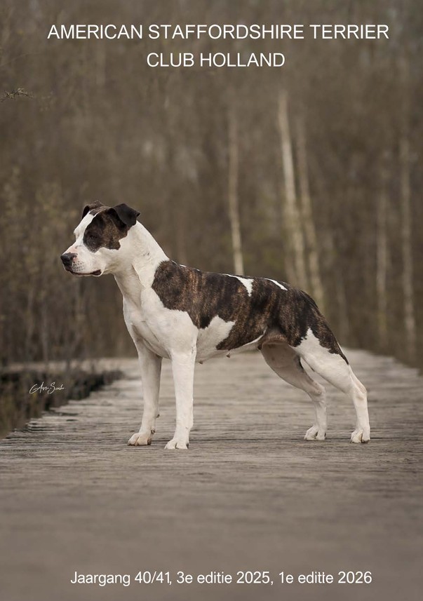 Nabestellen ASTCH Club magazines