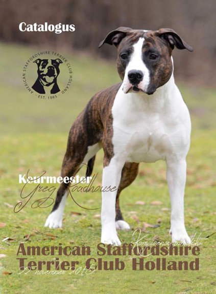 KCM 2026 Catalogus Advertenties